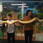 snake-encounter-stroud